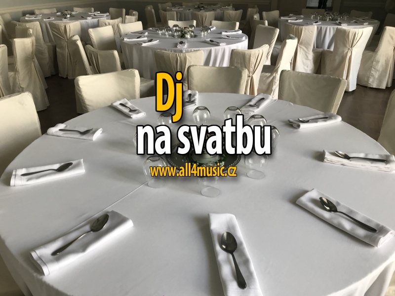 DJ NA SVATBU discjockey.cz