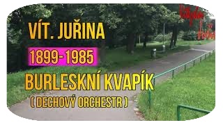 Kvapík