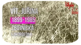 Pro akordeon