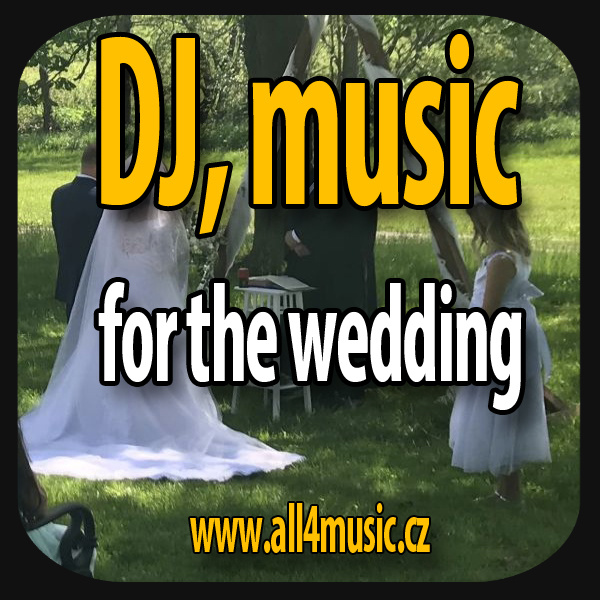 Dj for wedding in Prague and surroundings